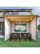 Sieger Sukkah | Sukkot | Judaica